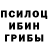 Галлюциногенные грибы Magic Shrooms Seth  Games
