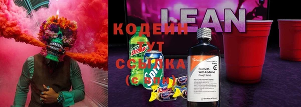 МДПВ Заполярный