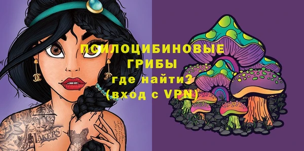 мдма Горнозаводск