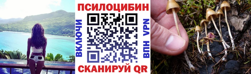 Галлюциногенные грибы Cubensis  Мценск 